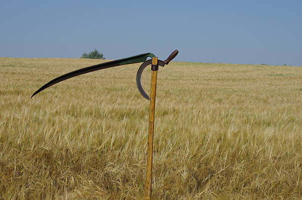 istock old scythe and sickle 460368189