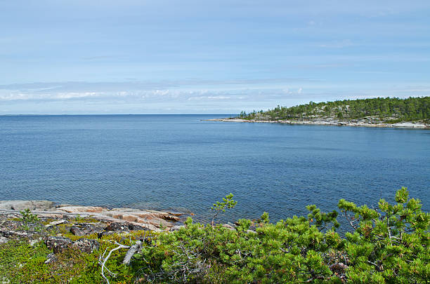 istock On the beach of  White sea 460369719