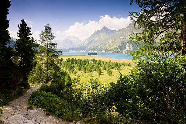 caminar alrededor del lago de sils (suiza) - silvaplanersee fotografías e imágenes de stock