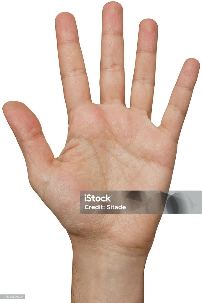 Hand With Clipping Path Showing Five Fingers Hand with clipping path showing five fingers. Clipping Path Stock Photo