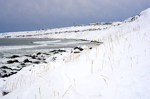 istock Snowy shore of the island Kunashir 460381175