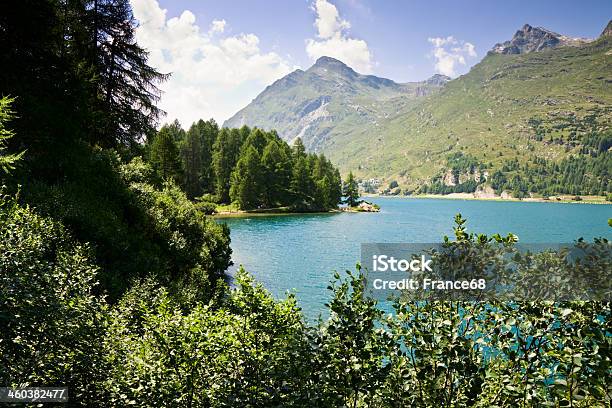 散策セリュ湖スイス - あこがれのストックフォトや画像を多数ご用意 - あこがれ, エンガディン, エンガディンアルプス