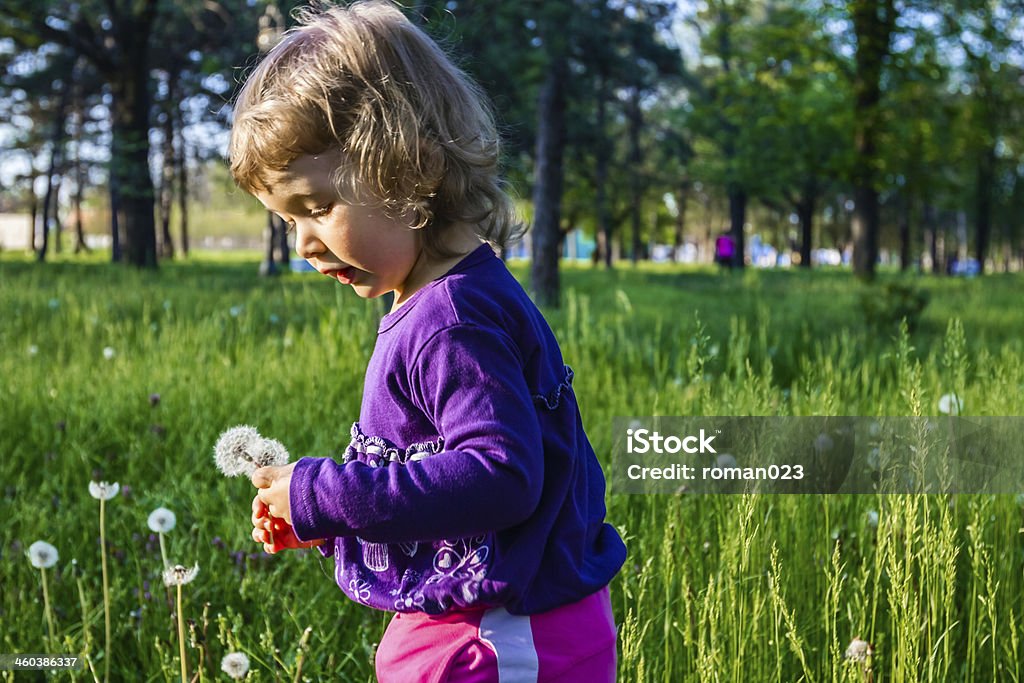 So many wishes. Little girl blowing dandelions on the meadow Aspirations Stock Photo