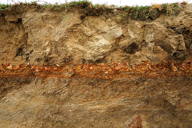 istock cut of soil with different layers at the Freshwater lake. 460387657
