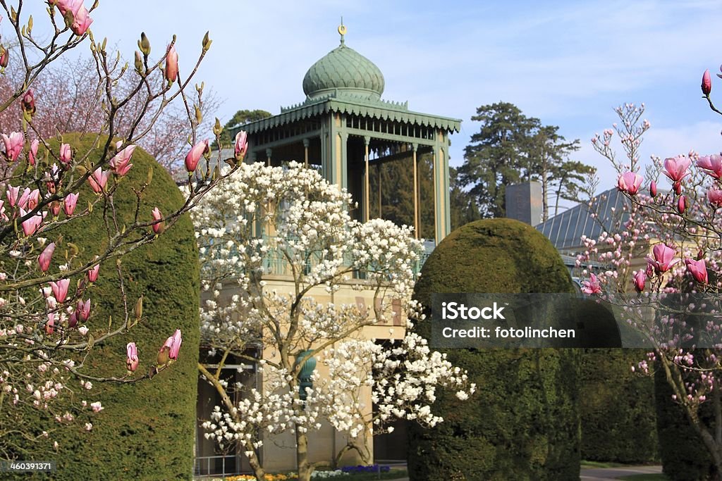 Spring park mit Magnolien - Lizenzfrei Baum Stock-Foto