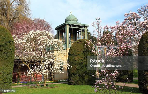 Spring Park Mit Magnolien Stockfoto und mehr Bilder von Baum - Baum, Baumblüte, Blume