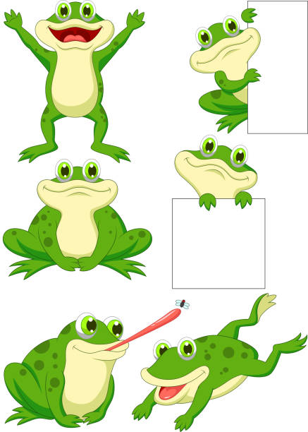 illustrations, cliparts, dessins animés et icônes de ensemble de collection dessin animé mignon grenouille - frog animal tongue animal eating