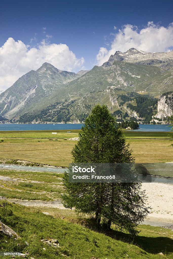 Marcher autour du Lac Sils (Suisse) - Photo de Alpes de l'Engadine libre de droits