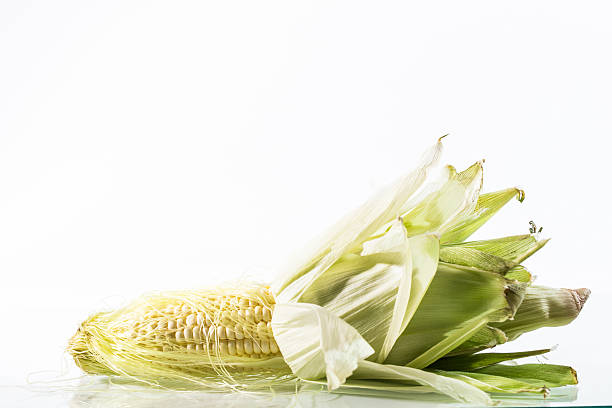 Ear of corn on white stock photo