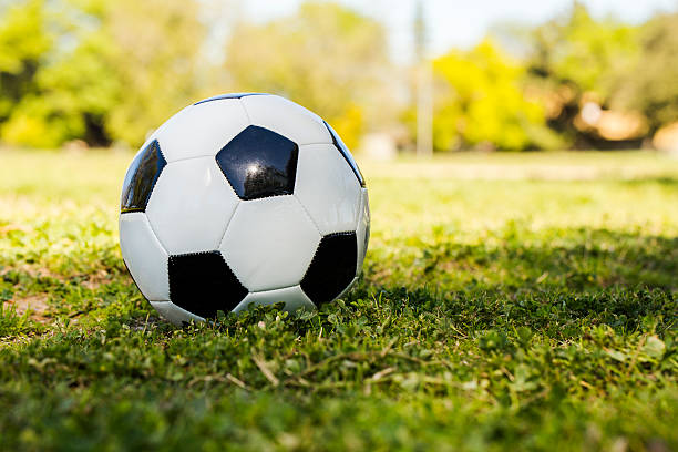 Soccer ball on the grass stock photo