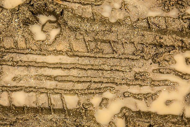 Tire tracks in the mud stock photo