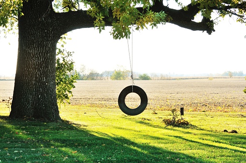 Old-fashioned tire swing on big shade tree.