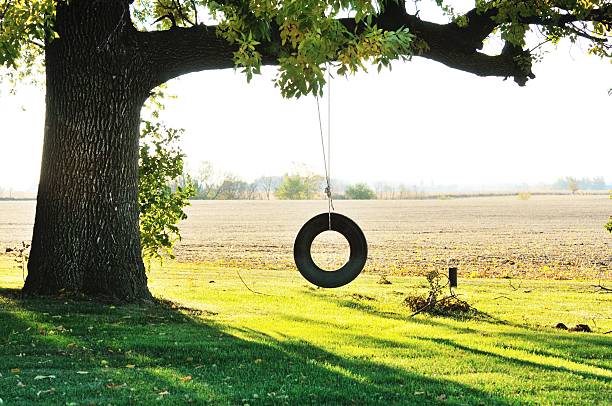 качели из шины - tire swing стоковые фото и изображения