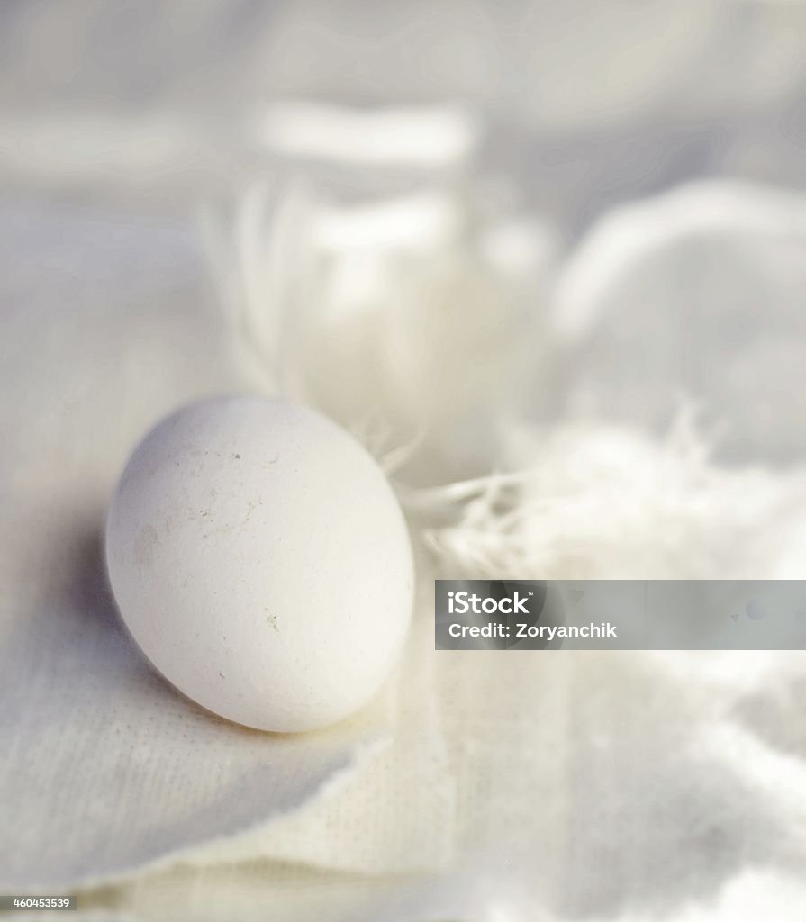white egg Animal Egg Stock Photo