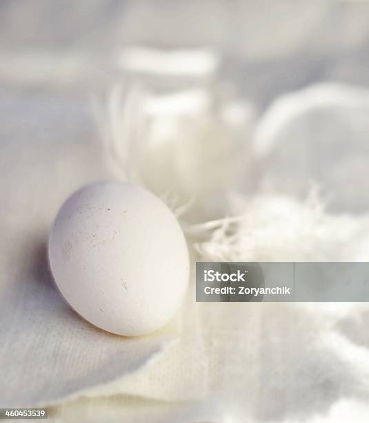 White Egg Stock Photo - Download Image Now - Animal Egg, Domestic Kitchen, Domestic Room