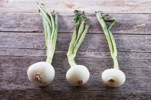 Three onions stock photo