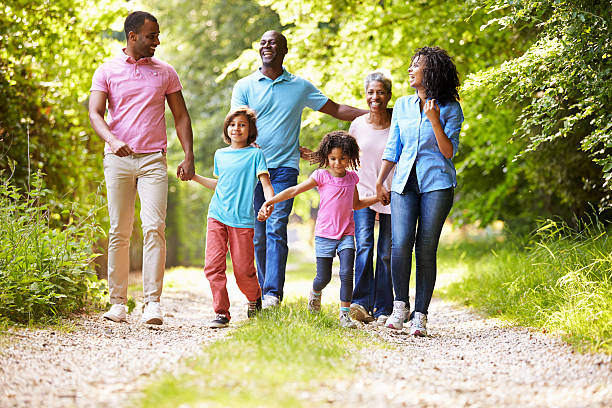 istock Multi Generation African American Family On Country Walk 460454981