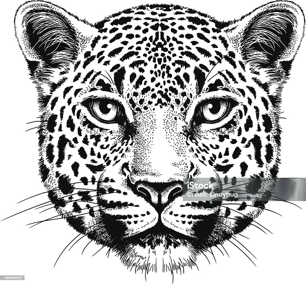 Leopard Portrait Black and white vector sketch of a leopard's face Jaguar - Cat stock vector