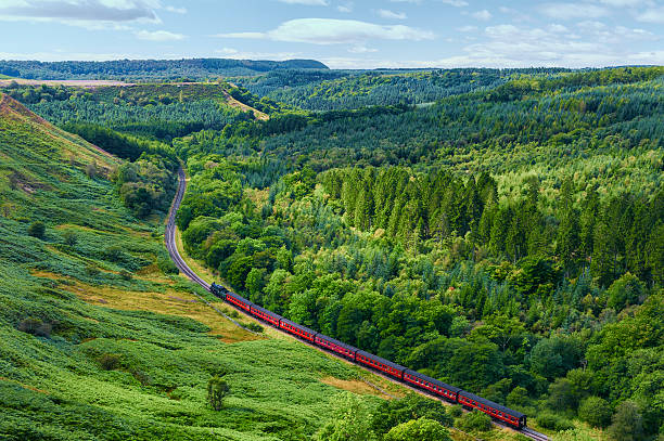 istock Steam train in the North York Moors, Yorkshire, UK. 460493033
