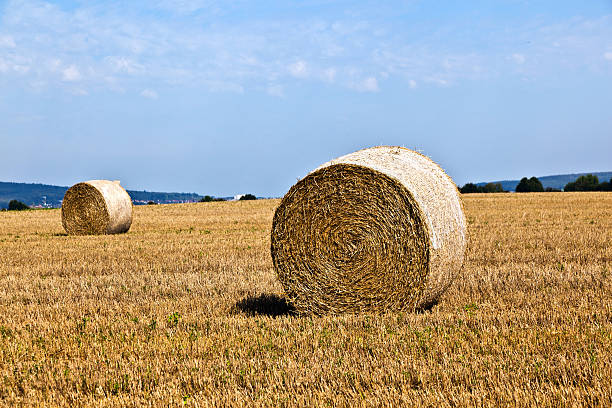 istock bale of straw on field 460493695
