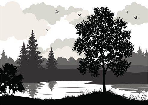 Landscape, trees, river and birds, black and grey silhouette contour on white background. Vector