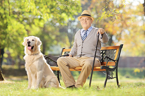 istock Senior man seated on bench with dog relaxing 460506609