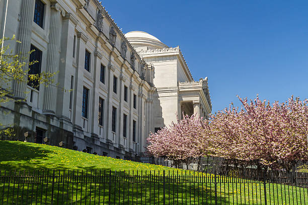 Brooklyn Museum Lawn and CHerry Trees stock photo