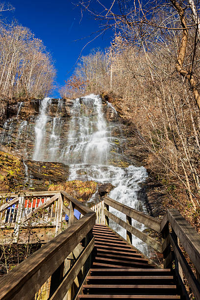 istock Wooden Staircase at Amicalola Falls, Georgia 460519085
