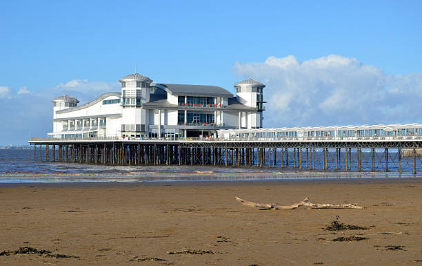 istock Driftwood and Grand Pier 460519459