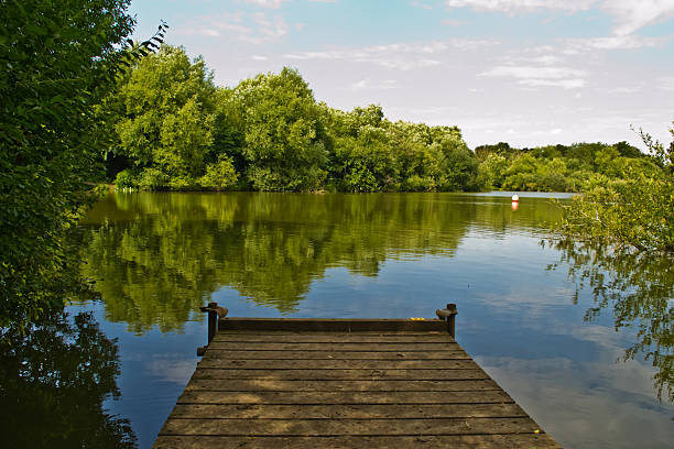 istock Beautiful landscape with a lake 460542527
