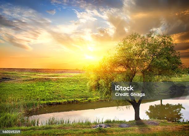 Закат Над Spring River — стоковые фотографии и другие картинки Весна - Весна, Без людей, Вода