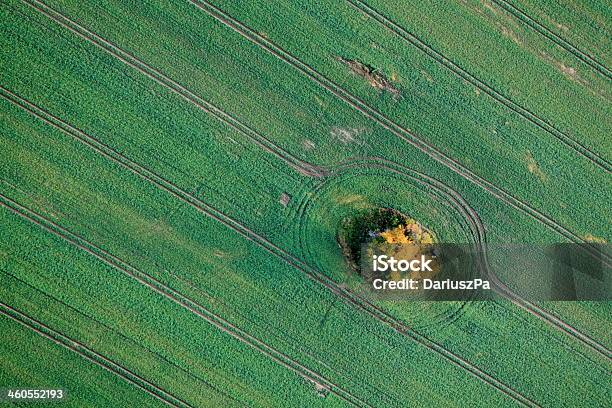 Aerial Foto Von Ackerland Stockfoto und mehr Bilder von Agrarbetrieb - Agrarbetrieb, Ansicht aus erhöhter Perspektive, Baum