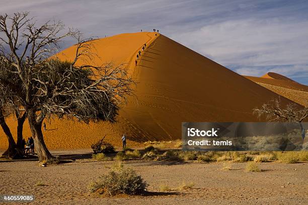 Sossusvlei Namibia - Fotografie stock e altre immagini di Africa - Africa, Albero, Ambientazione esterna