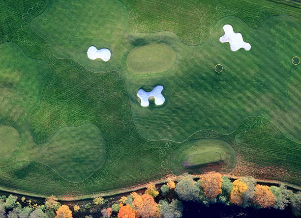 istock Aerial shot of the golf course 460565597