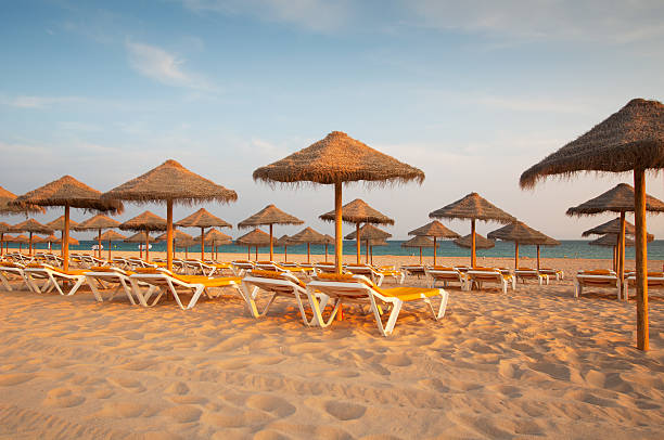 istock Empty deck loungers in the beach at sunset. 460573517