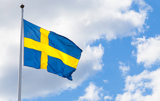 istock Swedish national flag 460577527