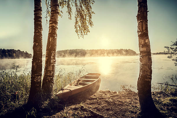 Boat Fish stock photo