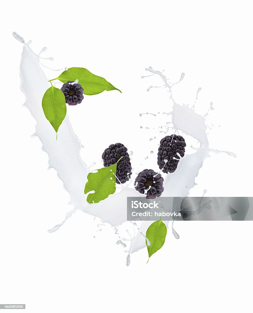 berry milk splash berries and leaf in milk splash, isolated on white background Berry Fruit Stock Photo