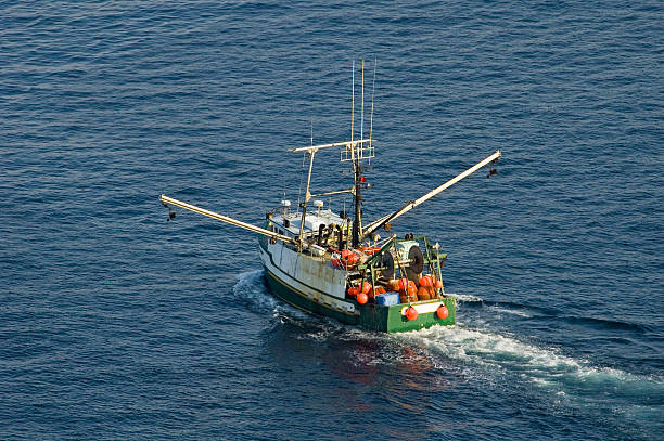istock Trawler, Fishing industry 460587581