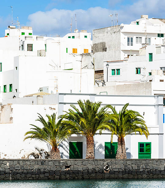 istock Charco de San Gines, Arrecife, 460588351