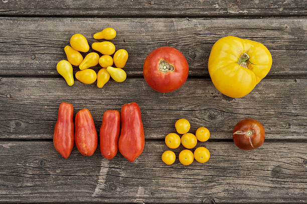 uprawy z rynku garden - heirloom tomato organic tomato rustic zdjęcia i obrazy z banku zdjęć