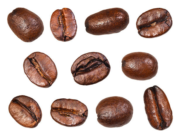 istock set of roasted coffee beans 460594721