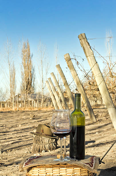 красное вино и виноградник - wine cork antioxidant wineglass autumn стоковые фото и изображения