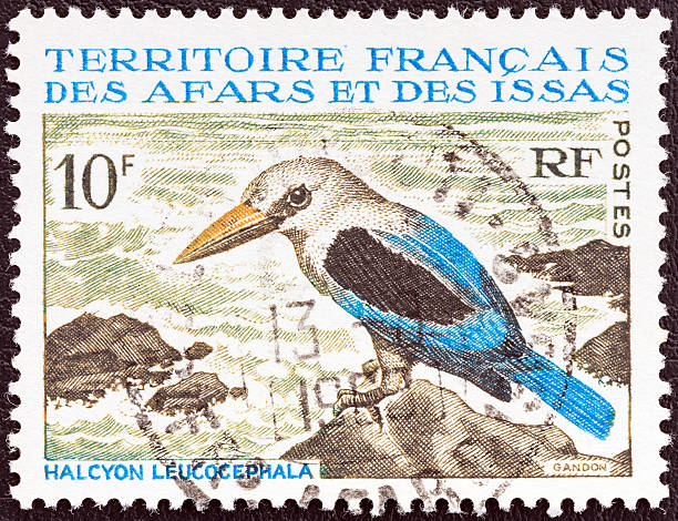 Afars and Issas stamp shows Grey-headed Kingfisher bird (1967) FRENCH TERRITORY OF AFARS AND ISSAS - CIRCA 1967: A stamp printed in France from the "Fauna" issue shows a Grey-headed Kingfisher (Halcyon leucocephala) bird, circa 1967. colony territory photos stock pictures, royalty-free photos & images