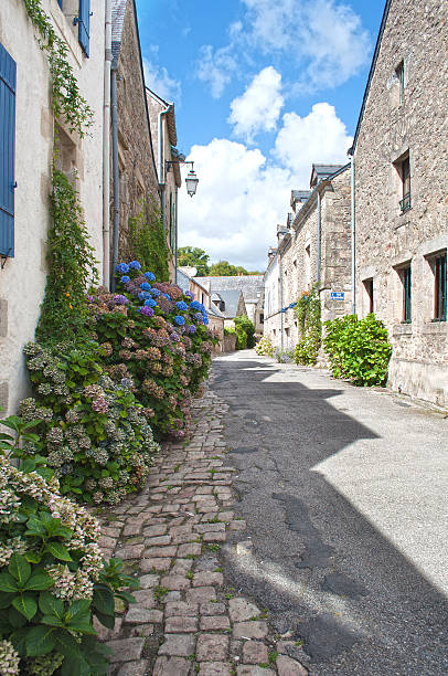 istock Typical street in Brittany, France 460615575