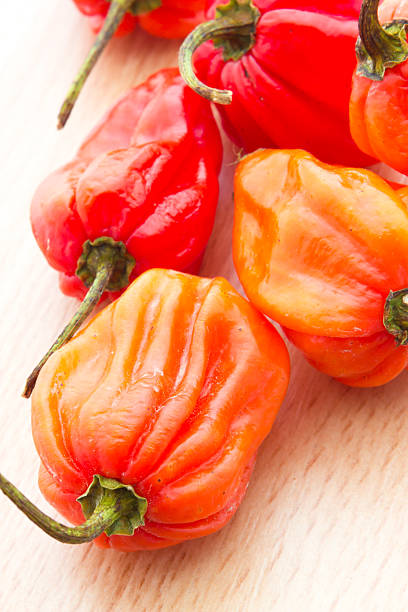 istock Habanero pepper 460621893