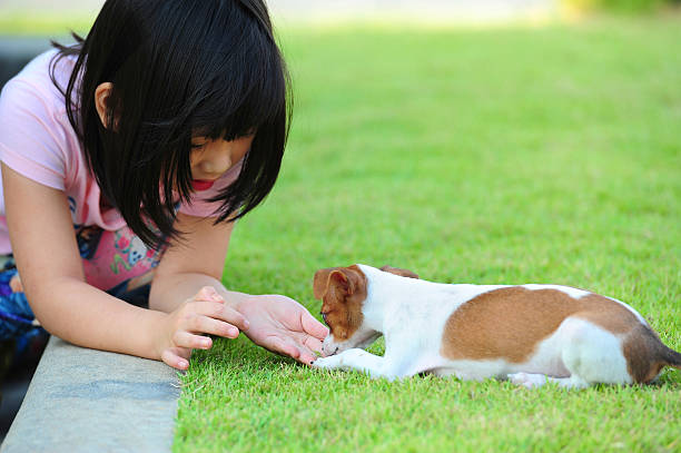 istock giving a dog snack 460639235