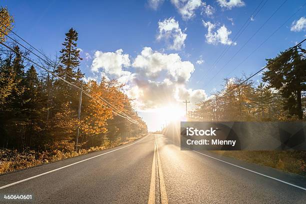 Indian Verão No Canadá - Fotografias de stock e mais imagens de Amarelo - Amarelo, Ao Ar Livre, Caminho Adiante