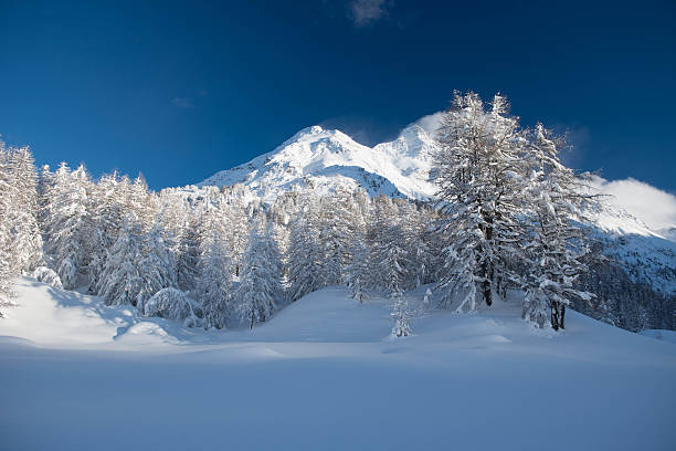 Maloja in the Engadine, Switzerland