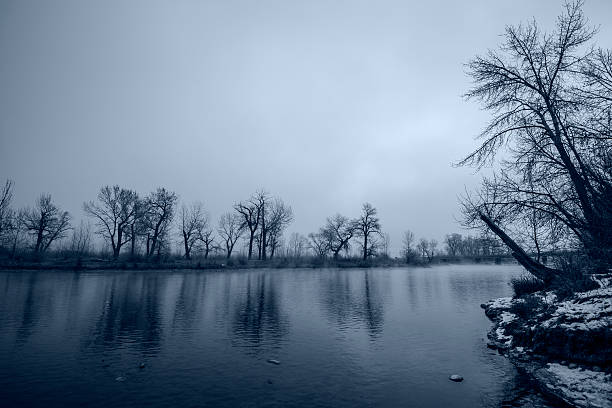 река бойсе в зимний - bare tree environment nature boise стоковые фото и изображения